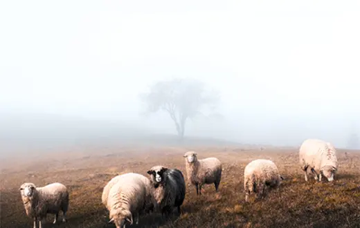 fot. Ivan Kmit/AdobeStock fot. Ivan Kmit/AdobeStock