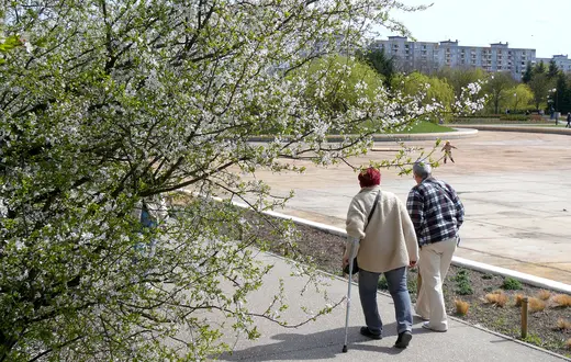 Park Bródnowski w Warszawie. Pod koniec ubiegłego roku, około 8 mln Polaków miało więcej niż 65 lat | fot. Marek Bazak/East News