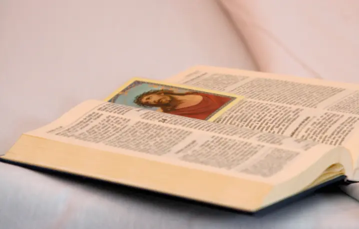 fot. Fred de Noyelle/getty images fot. Fred de Noyelle/getty images